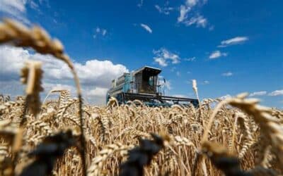 Wheat Stockpiles Lower Than Expected Worldwide